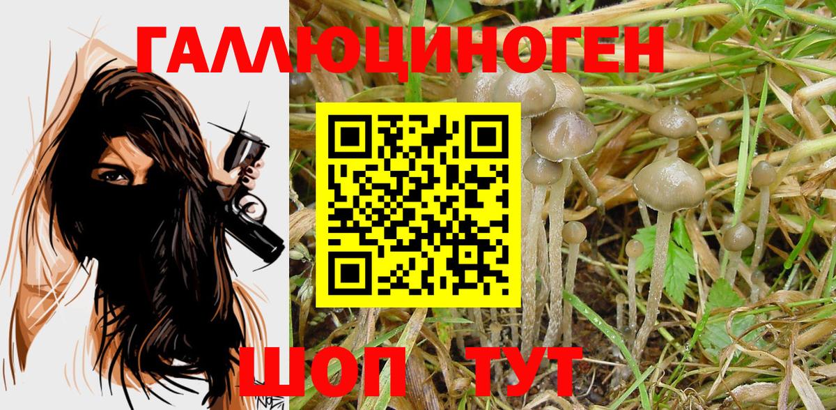 Галлюциногенные грибы MAGIC MUSHROOMS Вичуга