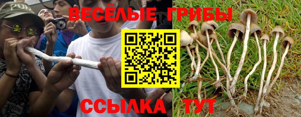 Вичуга  Псилоцибиновые грибы MAGIC MUSHROOMS  Галлюциногенные грибы Psilocybe  Вход с VPN 